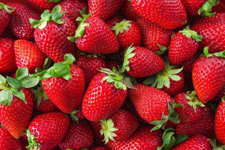Fragole