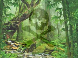 foresta e teschio simbolo di veleno