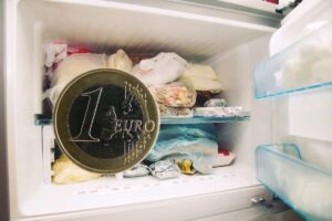 moneta un euro e congelatore