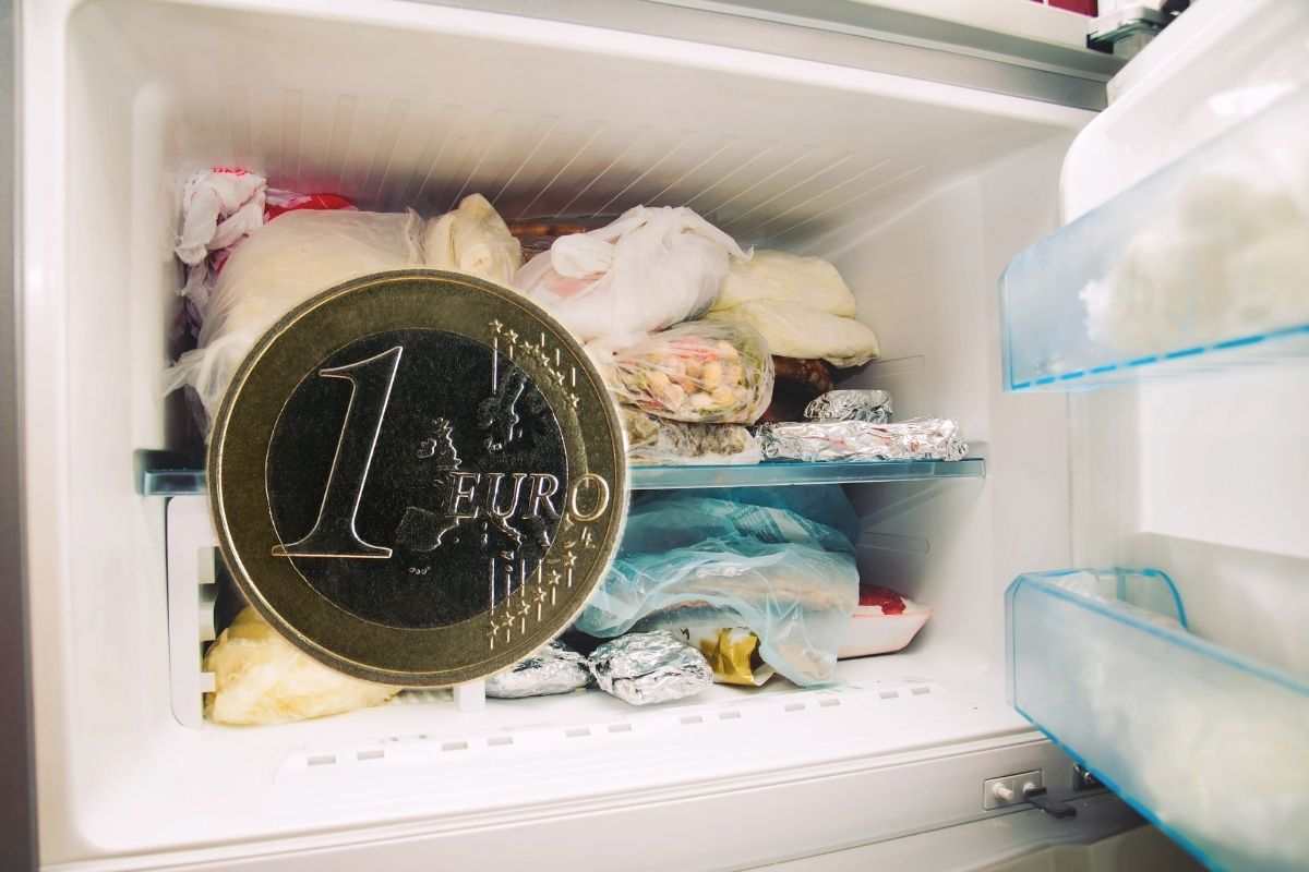moneta un euro e congelatore