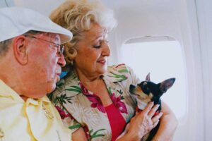 due anziani con un cagnolino in aereo