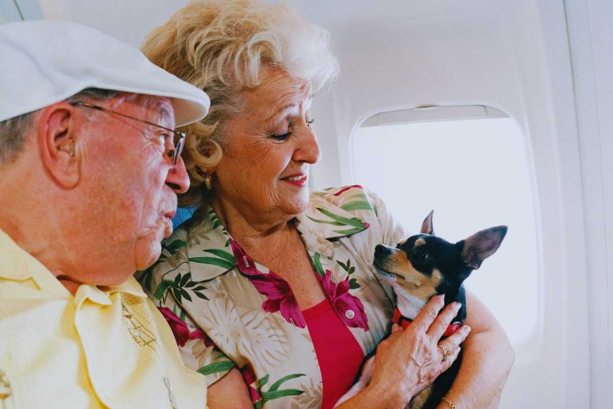 due anziani con un cagnolino in aereo